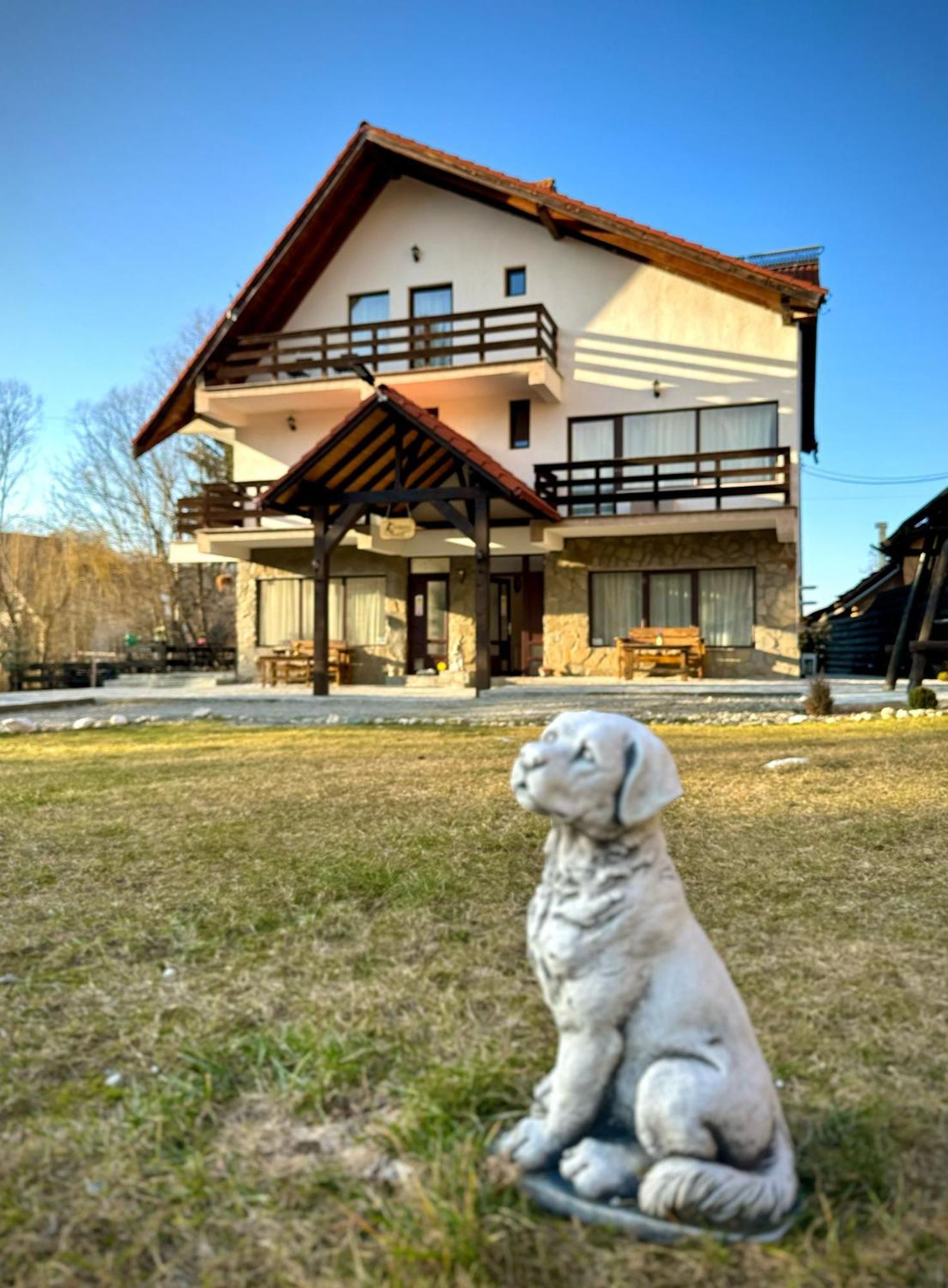 Vila Vibrant Бран Екстериор снимка