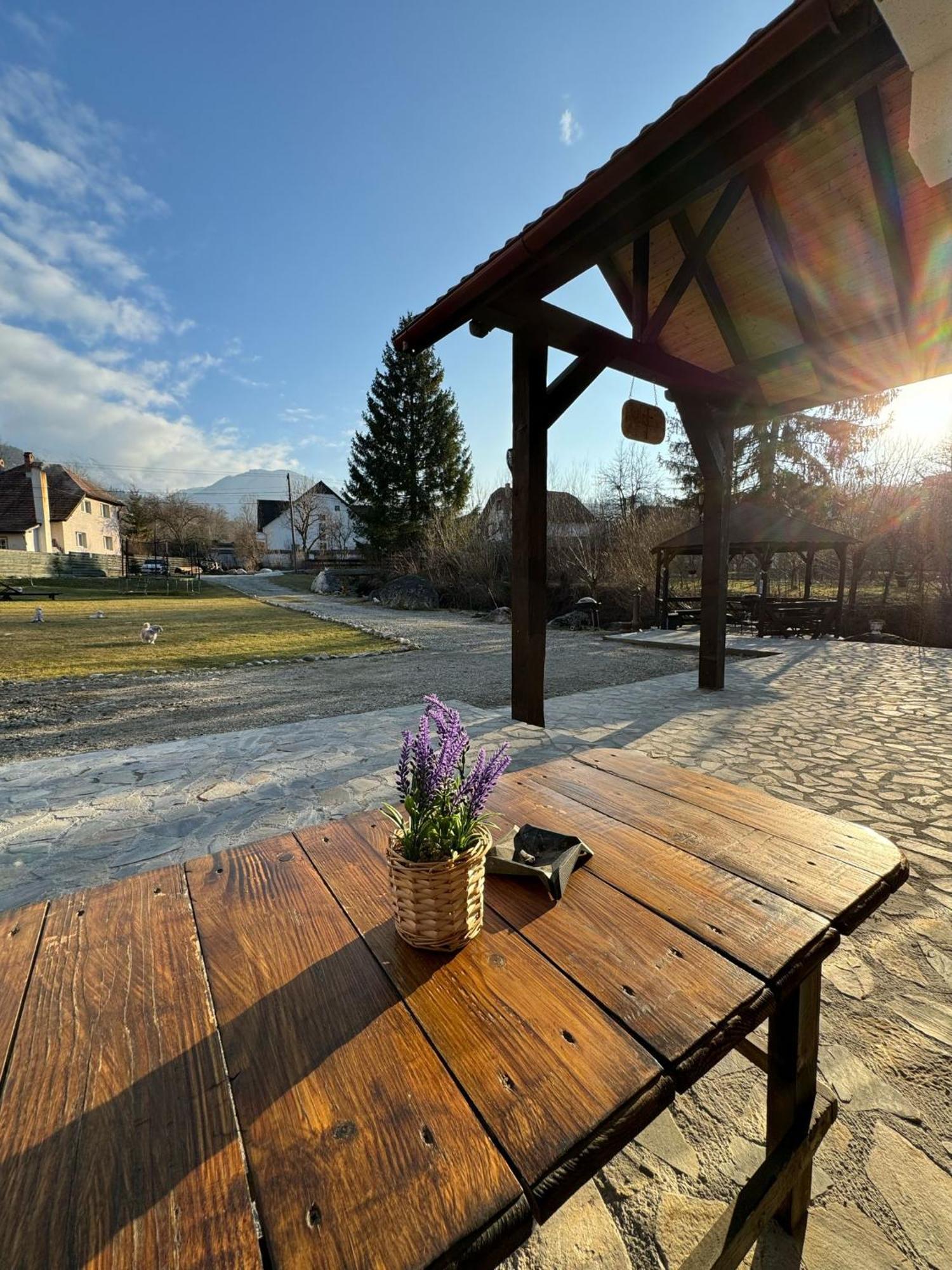 Vila Vibrant Бран Екстериор снимка